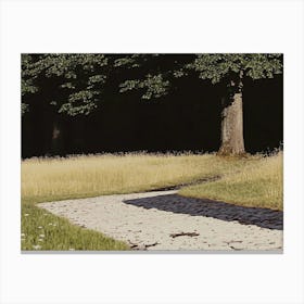 Path In A Field Canvas Print