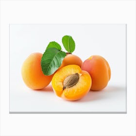 Apricots 14 Canvas Print