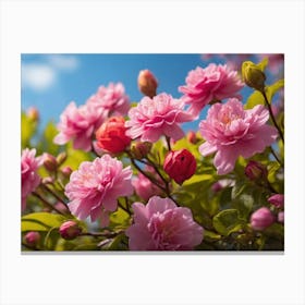 Pink Flowers Against Blue Sky Canvas Print