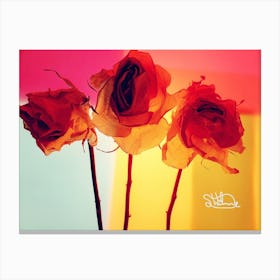 Roses Canvas Print