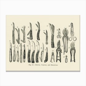 Vintage Illustration Of Knives, Scissors, Secateurs, John Wright Canvas Print