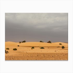 Sahara Desert In Mauritania In Africa Canvas Print