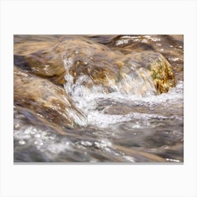 Stream Waterfall Canvas Print