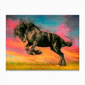 Black Horse At Sunset Canvas Print