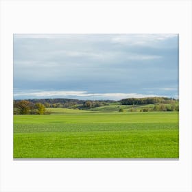 Field With Trees 9 Canvas Print