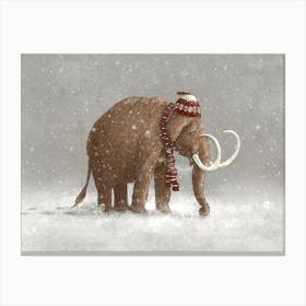 The Ice Age Sucked Canvas Print