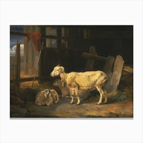 Heath Ewe And Lambs, James Heath Canvas Print