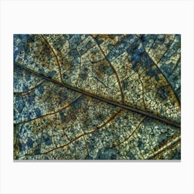 Autumn Leaf Metal Print Canvas Print