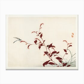 Dragonfly, Kōno Bairei Canvas Print