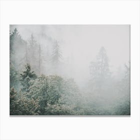 Green Misty Forest Canvas Print