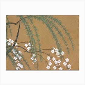 Blossoms From Momoyogusa –Flowers Of A Hundred Generations (1909), Kamisaka Sekka Canvas Print