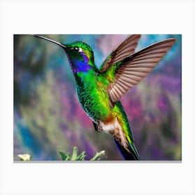 Hummingbird 1 Canvas Print