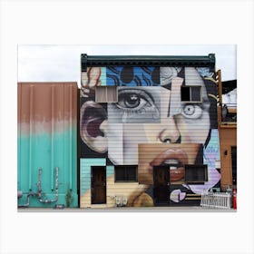 Graffiti Face Canvas Print