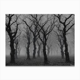 Dead Forest Canvas Print