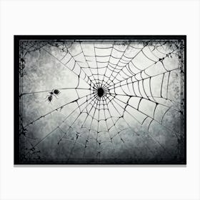 Spider Web 2 Canvas Print