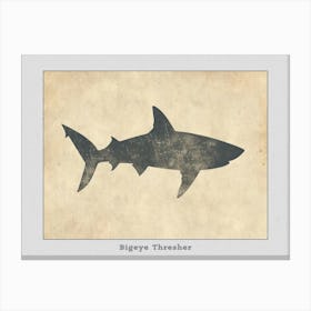 Bigeye Thresher Shark Grey Silhouette 1 Poster Canvas Print