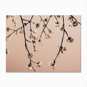 Branches 2 Canvas Print