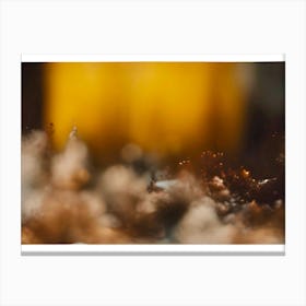 Minutiae - Intimate / Obscure - 1.00 Canvas Print