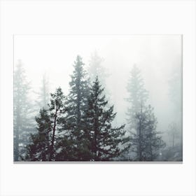 Pacific Northwest Forest Dreams Canvas Print