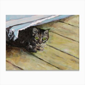 Hiding Cat Canvas Print