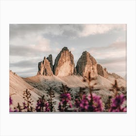 Wildflower Mountain Views Canvas Print