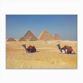 Giza Canvas Print