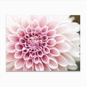 Light Pink Dahlia Flower Canvas Print