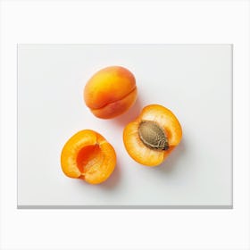 Apricots On White Background 1 Canvas Print