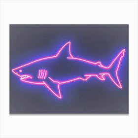 Neon Magenta Angel Shark 3 Canvas Print