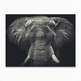 Elephant'S Head Canvas Print