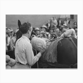 Silverton, Colorado, Labor Day Celebration, Contestant Tying Sacks Of Ore Onto A Burro In A Contest By Russe Canvas Print