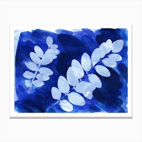 Cyanotype Botanical 3 Canvas Print
