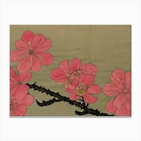 Cherry Blossoms 1 Canvas Print