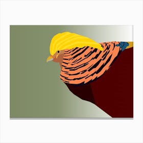 Golden Pheasant Bird Art Canvas Print