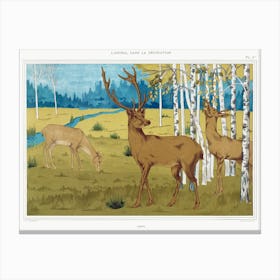 Deer From The Animal In The Decoration (1897), Maurice Pillard Verneuil Canvas Print