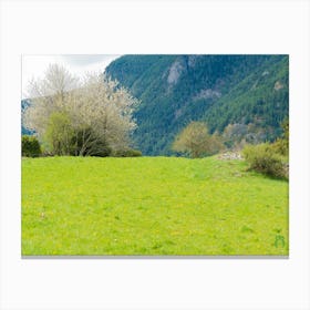 Pyrenees II 20210502 71ppub Canvas Print