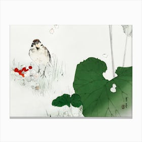 Bird On Lotus Flower Canvas Print