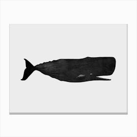 Sperm Whale Canvas Print