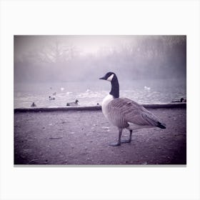 Foggy Morning  Geese by Lake Canvas Print