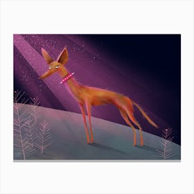 Naughty dog in the purple light Canvas Print