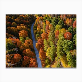 Aerial View Of Fall Foliage Canvas Print