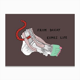 From Decay Comes Life Canvas Print