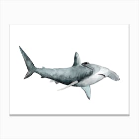 Sea Life Hammerhead Shark Canvas Print