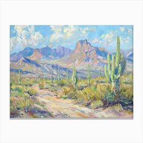 Western Landscapes Sonoran Desert Arizona 2 Canvas Print
