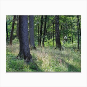 Hudson forest 1 Canvas Print