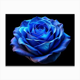 Solitary Blue Rose Against A Black Background Canvas Print