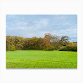 Field With Trees 3 Canvas Print