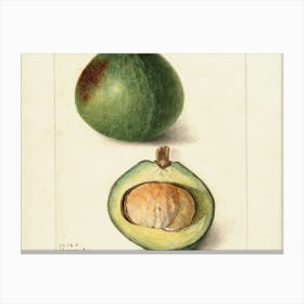 Fig And Avocado 1 Canvas Print