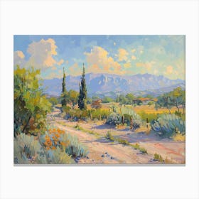 Western Landscapes Tucson Arizona 4 Canvas Print