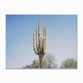 Saguaro Cactus Scenery Canvas Print